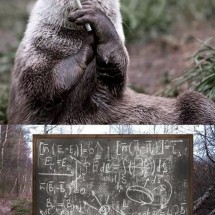 Codzienny Strzał Fotek — 53