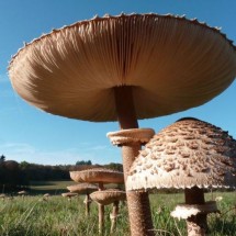 Codzienny Strzał Fotek — 19