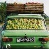 Codzienny Strzał Fotek — 18