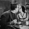 Codzienny Strzał Fotek — 24