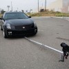 Daily Photo Shoot — 45