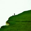 Stupid or brave? — 15