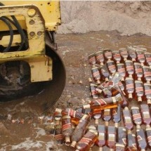 Daily Photo Shoot — 21