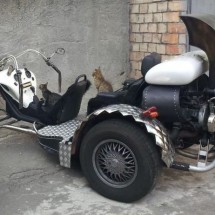 Codzienny Strzał Fotek — 50