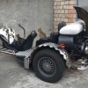 Codzienny Strzał Fotek — 50