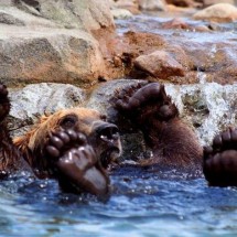 Codzienny Strzał Fotek — 34