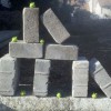 Codzienny Strzał Fotek — 11