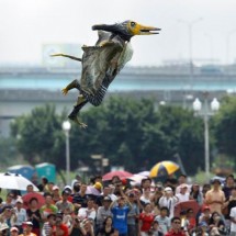 Codzienny Strzał Fotek — 19