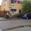 Codzienny Strzał Fotek — 11