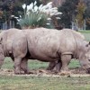 Daily Photo Shoot — 25