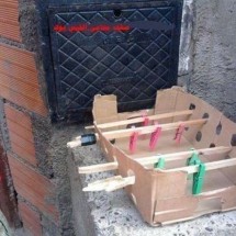 Codzienny Strzał Fotek — 5