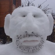 Daily Photo Shoot — 46