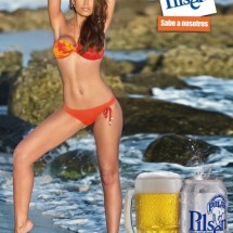 Polar Pilsen 2013 Calendar — 12