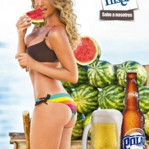 Polar Pilsen 2013 Calendar — 8