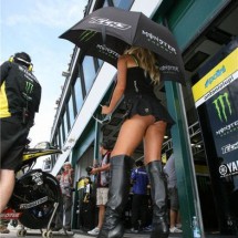 Girls of Formula 1 — 38