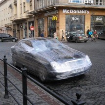 Codzienny Strzał Fotek — 49