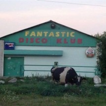 Codzienny Strzał Fotek — 13