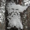 Codzienny Strzał Fotek — 40