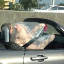 Daily Photo Shoot — 42