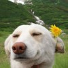 Codzienny Strzał Fotek — 15