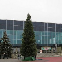 Codzienny Strzał Fotek — 30