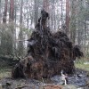 Codzienny Strzał Fotek — 34