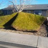 Daily Photo Shoot — 10