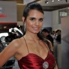 Brazylijskie hostessy motoryzacyjne — 21