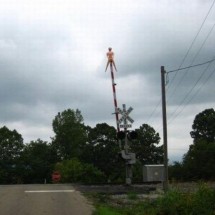 Codzienny Strzał Fotek — 17