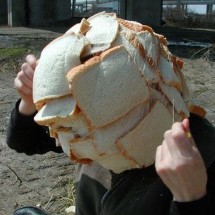 Codzienny Strzał Fotek — 10