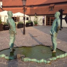 Codzienny Strzał Fotek — 24