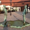 Codzienny Strzał Fotek — 24
