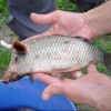 Codzienny Strzał Fotek — 6