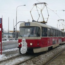 Codzienny Strzał Fotek — 36
