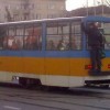 Codzienny Strzał Fotek — 50